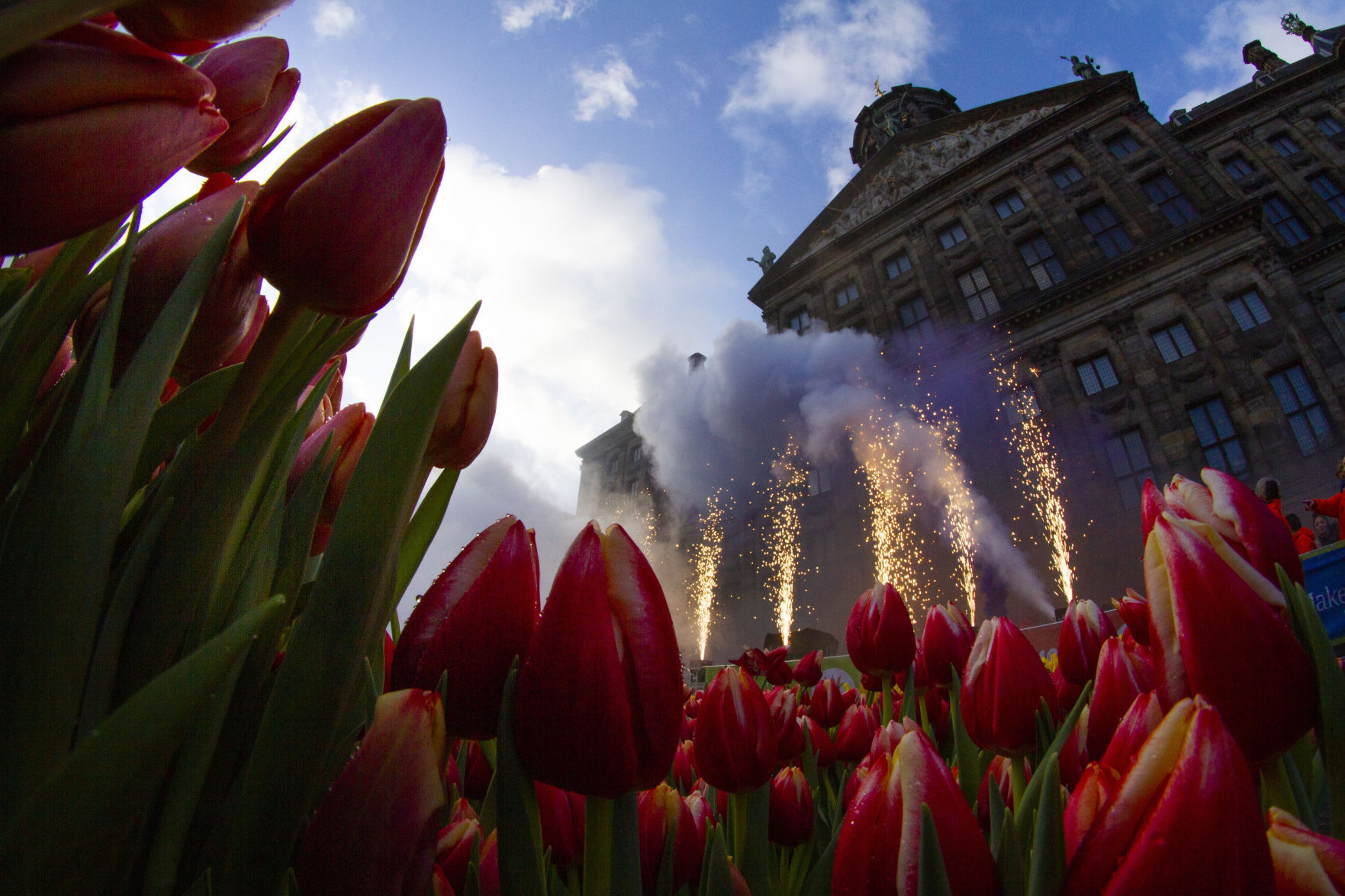 APTOPIX Netherlands Tulip Day